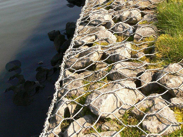 上海固濱籠圖片2