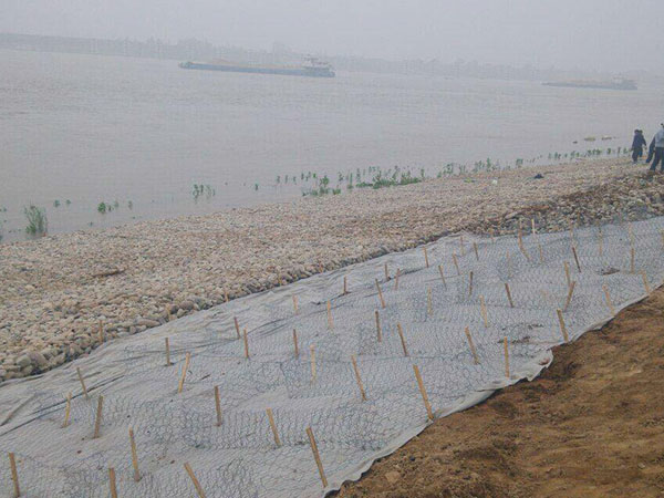 深圳鍍高爾凡雷諾護(hù)墊圖片3